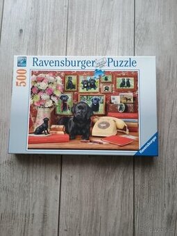 Puzzle pes