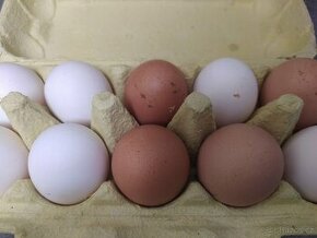 Domácí vejce přebytek