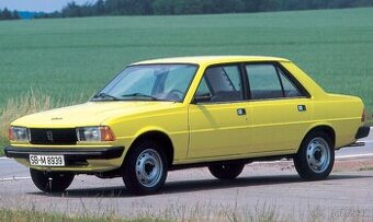 peugeot 305