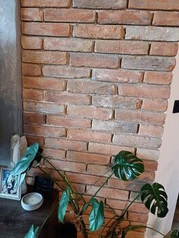 Obkladové cihlové pásky 11 m2