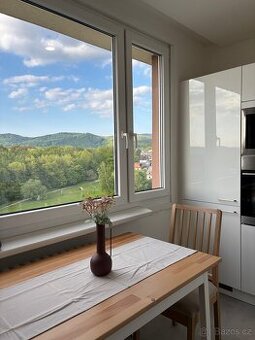 Pronajem 2+1, 60m2, Liberec Ruprechtice, Hokejka