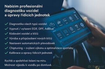 Diagnostika vozidel - adblue ,EGR,DPF