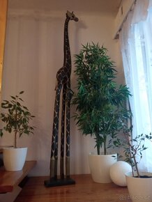 Dřevěná žirafa 200 cm