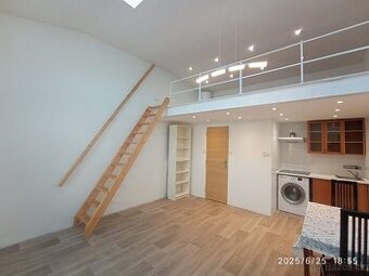 BEZ PROVIZE RK. Pronajmu atelier 1kk se zahrádkou Vršovice