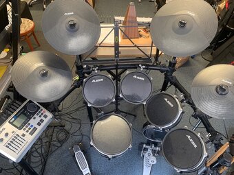 Alesis DM10 - 1