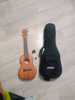 Ukulele