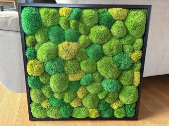 Mechový obraz 56x56 cm