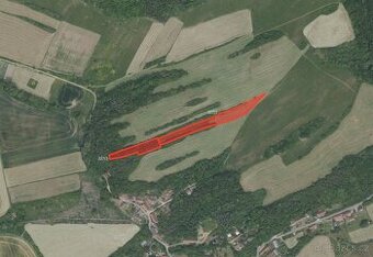 Louka, prodej, Nesvačily, Beroun