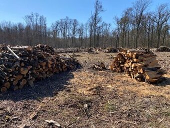 Prodám tvrdé palivové dřevo dub