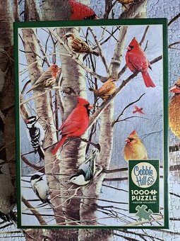 Puzzle 1000 Cobble Hill/Zimní ptáci