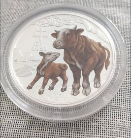Stříbrná mince Lunar III Ox (rok buvola) barevná 2oz