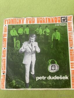 Písničky pod buřinkou