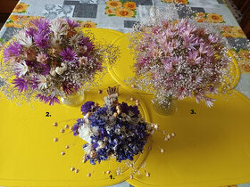 Sušené květiny,kytice ( 33 ) - Kytičky do vázičky.