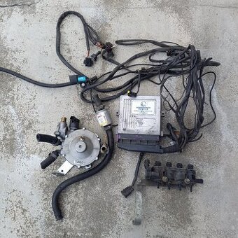 LPG system