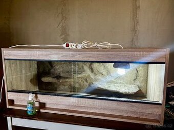 Terarium pro agamu vousatou - 1