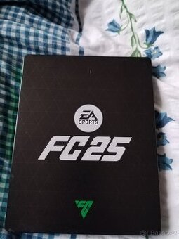 FIFA 25 ps4