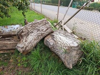 Dřevo na zátop - ořechové dřevo