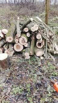 Dobrý den mám je na prodej tvrdý dřevo