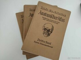 Anatomischer Atlas - Toldt -3.dílný - 1