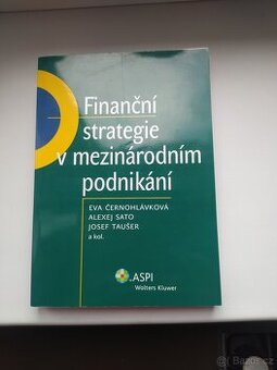 Finanční strategie v mezinárodním podnikání