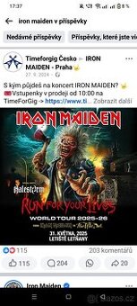 Iron maiden