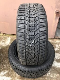 Zimní pneu 225/50/17