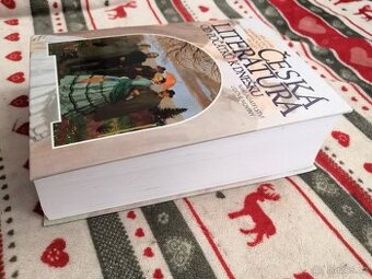 Česká literatura od počátků k dnešku