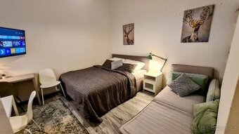 Pěkný byt 1+kk, Praha Nové Město