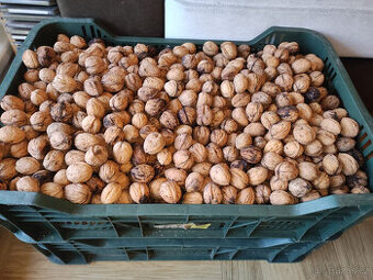 Vlašské ořechy (neloupané, sušené)