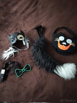 Maškarní kostým / Kvadrober