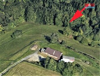 Prodej louky a lesa, 1670 m², Koberovy