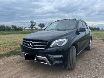 Mersedes m 190 kw 2012