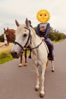 Pony účastník MČR