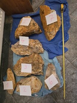 Zkamenělé dřevo do akvária