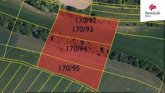 Prodej pole 9367 m2, Brumovice