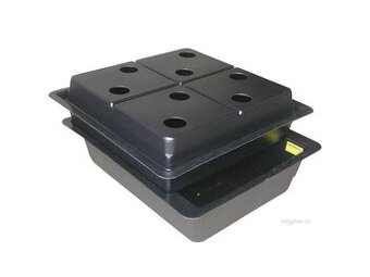 Prodám 2x Amazon (108 a 116)
