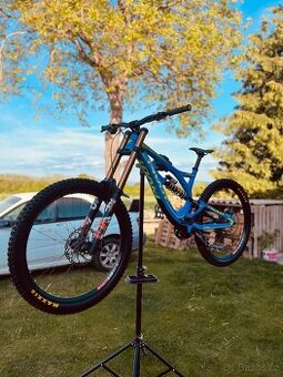 Pivot phoenix 2019