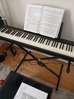 Roland FP-10,Stojan Soundking