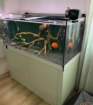Akvárium 300l - akvarijní set