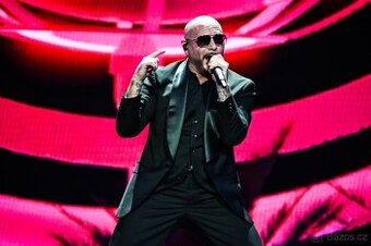 Top lístek na Pitbulla