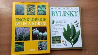 Bylinky