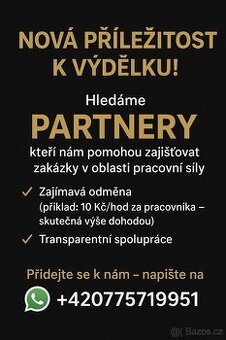 Příležitost k výdělku