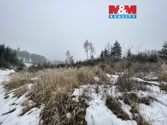 Prodej, les, 4368 m2, Stupná, Vidochov - 1