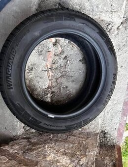 Zimní pneumatiky NEXEN