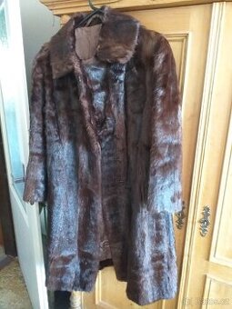 Krasny kozich z kralika