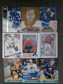 Hokejove karty 100+ ks  top stav