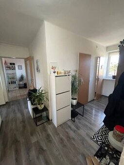 Pronájem bytu 2+1 50m Mohelnice