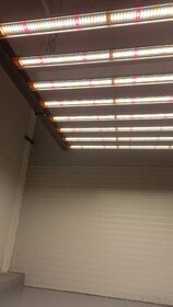 LED světla 800 W s regulací osvitu