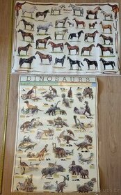 Plakáty dinosauři a koně
