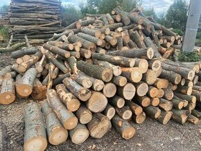 Nejlevnější palivové dřevo výprodej skladů